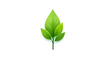 Obraz premium Green Leaf Icon on White Background for Eco-Friendly Lifestyle Concept