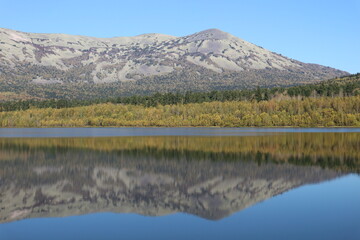 lake reflection