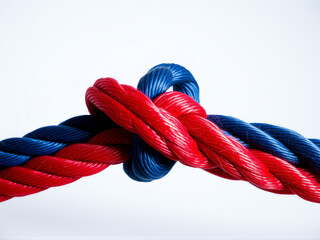 Brightly colored red and blue ropes tied together in a complex knot against a clean white background