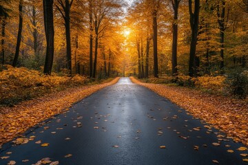 Fototapeta premium A wet road runs through an autumn forest. The road is lined with fallen leaves, creating a beautiful and peaceful scene. This image is perfect for illustrating the beauty of nature in the fall.