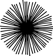 Obraz premium 성게 