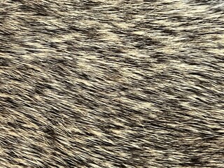 Close up texture of brown gray and white rabbit fur