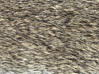 Close up texture of brown gray and white rabbit fur