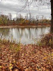 Fall Autumn Landscape