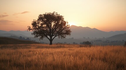 Solitary Tree in Golden Grassland at Sunset with Mountain Range
