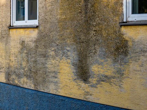 Bwall-Bilder: Stock-Fotos & -Videos. | Adobe Stock