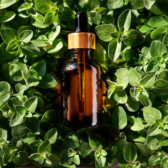 Amber glass bottle with pipette on top of oregano Origanum vulgare leaves in the background, oil essencial, aromatherapy, holistic medicina, nature, sun