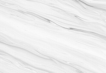 abstract white and silver are light pattern gray with the gradient is the with floor wall metal texture soft tech diagonal background black dark clean modern.