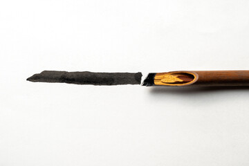 Calligraphy reeds covered ink on white paper