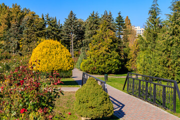 Obraz premium A park with a bridge and a tree with yellow leaves