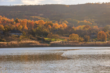 Autumn landscape with vibrant trees by a calm lake under soft sunlight, capturing the peaceful beauty of nature