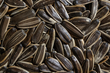 Non Salty Roasted Sunflower Seeds in Shell: A Culinary Canvas of Sunflower Kernels, Creating a Lively and Textured Background for Gourmet Cooking. Scattered Sun Flower Seeds - Top View, Flat Lay