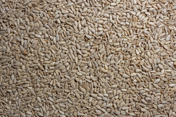 Peeled Sunflower Seeds Background: A Culinary Canvas of Shell-free Sunflower Seeds, Creating a Lively and Textured Background for Gourmet Cooking - Top View, Flat Lay
