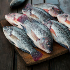 Tilapia or ikan nila, fresh Tilapia fish on board. Oreochromis Niloticus. Freshwater Fish. Farmed wild fish