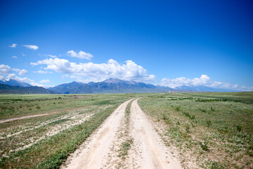 Fototapeta premium The scenery of Yili, Xinjiang, China in summer