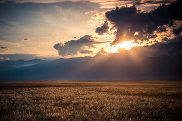 The scenery of Yili, Xinjiang, China in summer