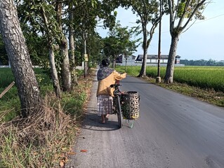 person riding a bicycle