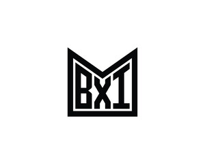 BXI logo design vector template. BXI