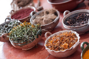 Making Natural colors for Teotitlán carpets in Oaxaca