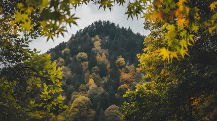Fototapeta premium Scenic view of a mountain surrounded by vibrant autumn foliage, showcasing a blend of yellow, orange, and green leaves against a cloudy sky. Perfect for nature enthusiasts.
