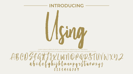 Using Font Stylish brush painted an uppercase vector letters, alphabet, typeface