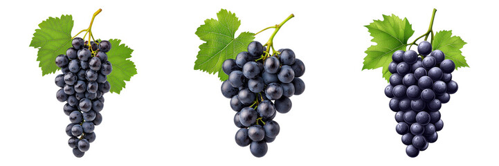 Fototapeta premium Exploring the Rich Varieties of Grapes A Visual Journey Through Nature's Bounty