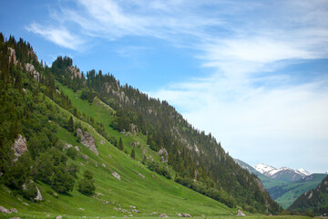 Obraz premium The scenery of Yili, Xinjiang, China in summer