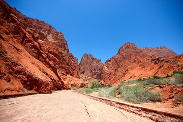 The scenery of Yili, Xinjiang, China in summer