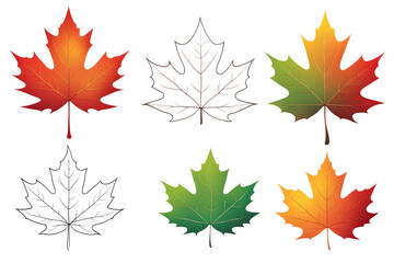 Obraz premium autumn leaves background, red and yellow stars, maple leaves isolated on white