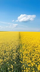 Obraz premium Transition of meadow through economic lens, meadow , economy , transition, ,