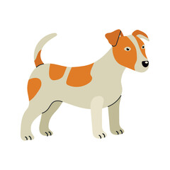 Jack russell terrier icon clipart avatar logotype isolated illustration