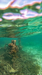 WWII fighter plane engine wreckage in Chuuk lagoon, Micronesia