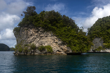 Fototapeta premium View from the water of the Rock Islands in Palau