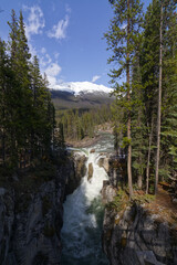 Sunwapta Falls on a Sunny Spring Day