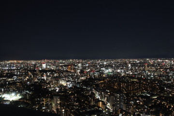 Japan night city view