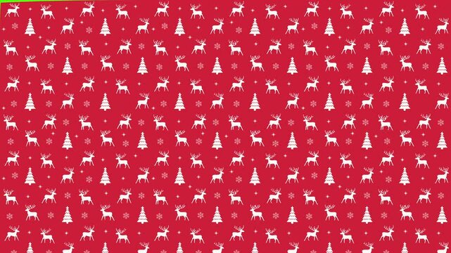 Christmas pattern peeling paper with snowflakes deer and trees wrap and unwrap transition reveals with chroma green background