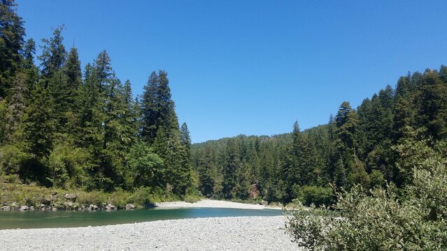 evergreen forest pinecrest california near gravel creak bed