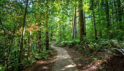 A bike trail leading through lush trees