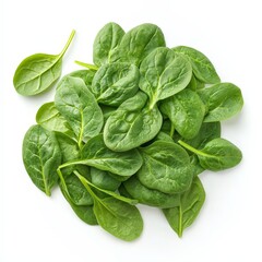 Fototapeta premium A pile of fresh spinach leaves, neatly arranged and vibrant green, isolated on white