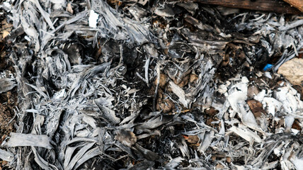 Close-up of charred and burnt debris, showcasing intricate textures and patterns of ash and remnants. Ideal for backgrounds, environmental themes, or artistic projects.