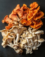 Vibrant Assortment of Wild Mushrooms Displayed Aesthetically
