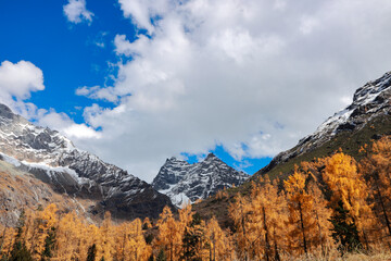 Landscape of Siguniang mountain or Four girls mountains with ,located in the Aba Tibetan and Qing Autonomous Prefecture in western Sichuan of China.