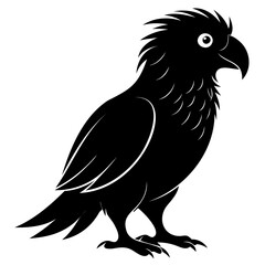 Kakapo black silhouette Vector illustration isolated on a transparent background