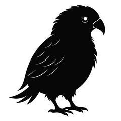 Kakapo black silhouette Vector illustration isolated on a transparent background