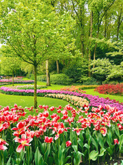 Keukenhof, Holland, Netherlands