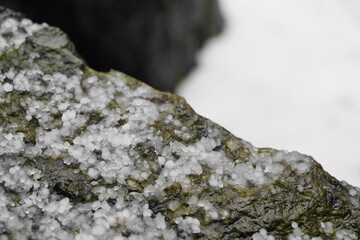 岩の上に積もった雪の粒
