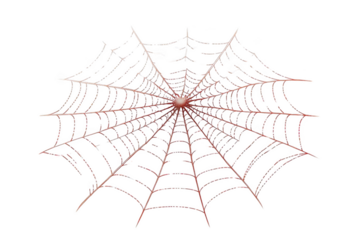 Intricate Spider Web Design - A Transparent Object in the Night