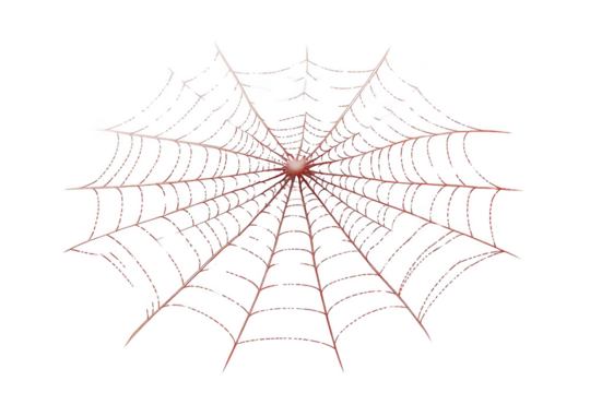 Intricate Spider Web Design - A Transparent Object in the Night