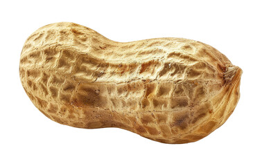 One peanut in a shell isolated on transparent background