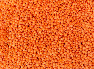 Pile of red lentil